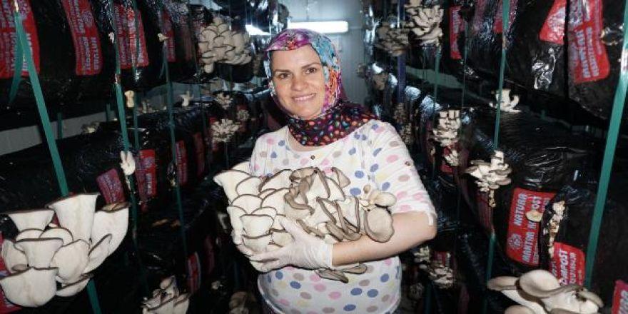 Meşe Kütüğünde Ölümsüzlük Mantarı Üreten Kadın Girişimci: Reyhan İşcan 1mfltp - Meşe Kütüğünde Ölümsüzlük Mantarı Üreten Kadın Girişimci: Reyhan İşcan