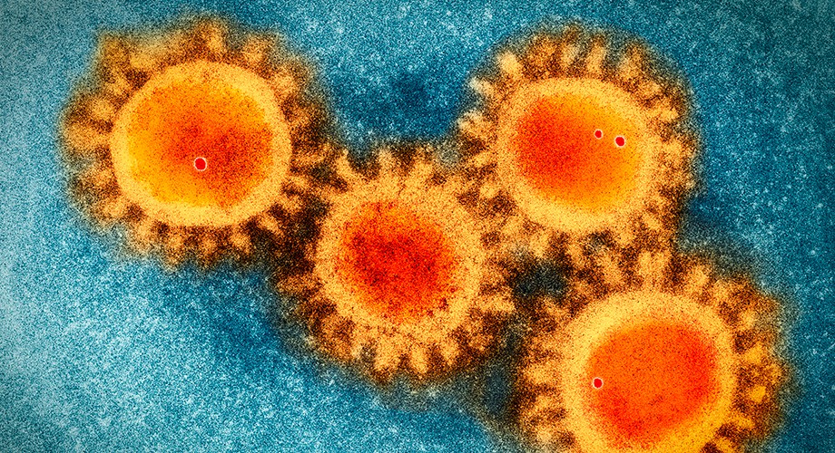 Yeni Tip Koronavirüs Laboratuvar Mühendisliği’nin Bir Sonucu mu? 1