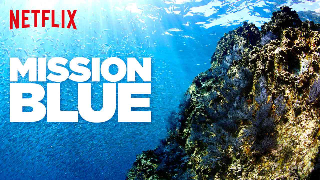 En İyi Netflix Belgesel Önerileri: Yeni Bakış Açıları Kazandıran 80 Belgesel 33