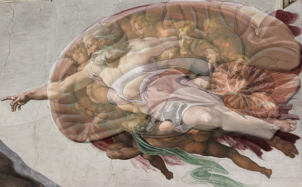 What Is The Mysterious Detail In Michelangelo's "The Creation of Adam" Actually Trying to Tell? 4