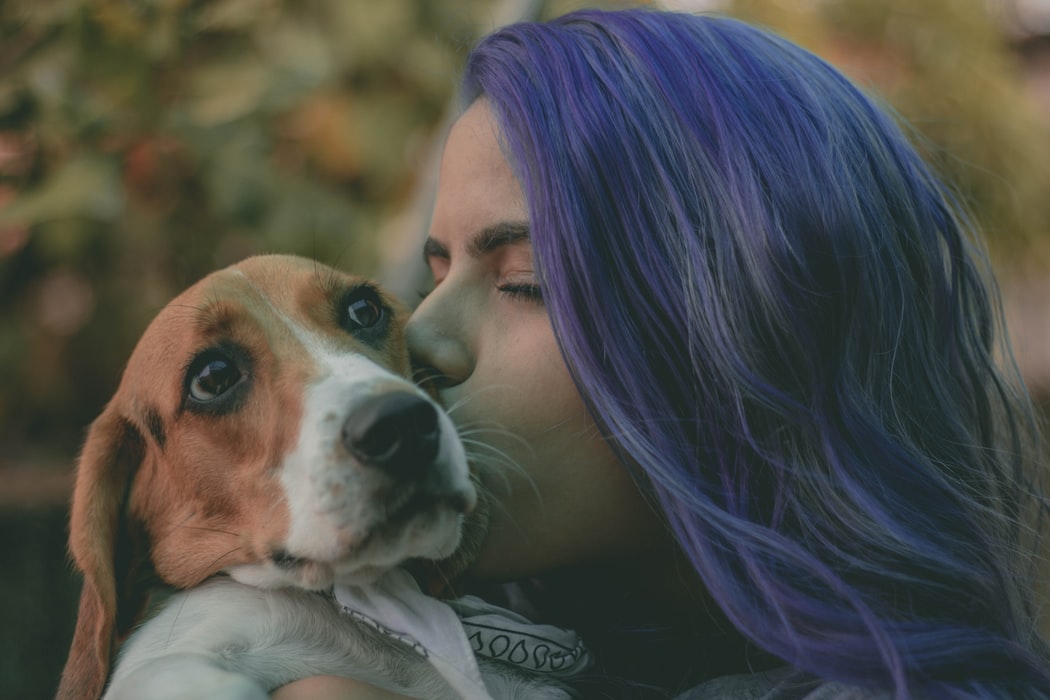 Araştırmacılara Göre Köpeğinizi Kaybetmek Sevdiğiniz Bir İnsanı Kaybetmek Kadar Acı Verici Olabilir 3