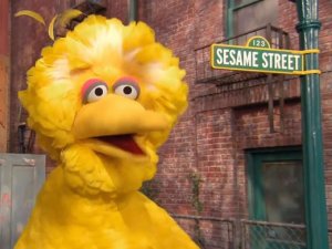 A Social Experiment with Surprising Results: Sesame Street