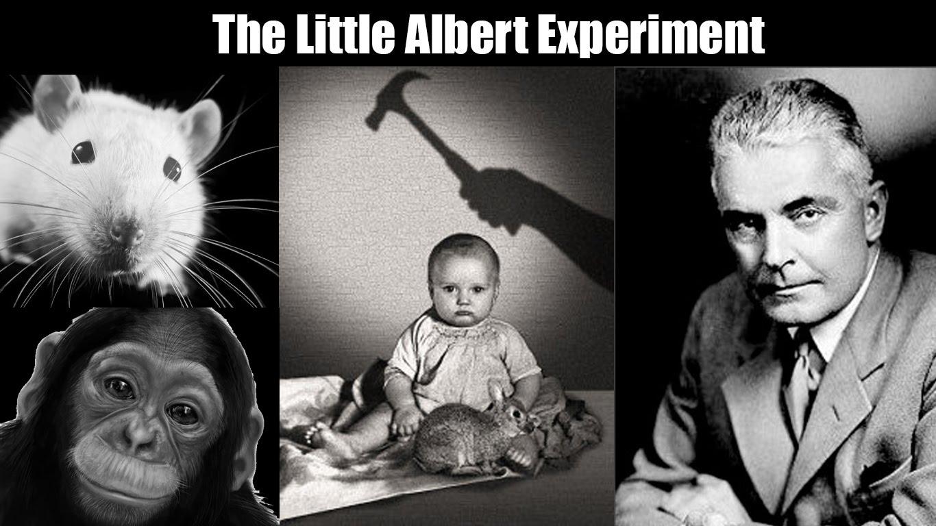 Küçük Albert Deneyi