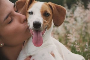 Bilim Onayladı: Köpekler Kötü İnsanları Tanıyabiliyor