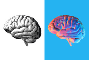 Yabancı Dil Öğrenirken Beyninizde Gerçekleşen 2 Olumlu Değişim