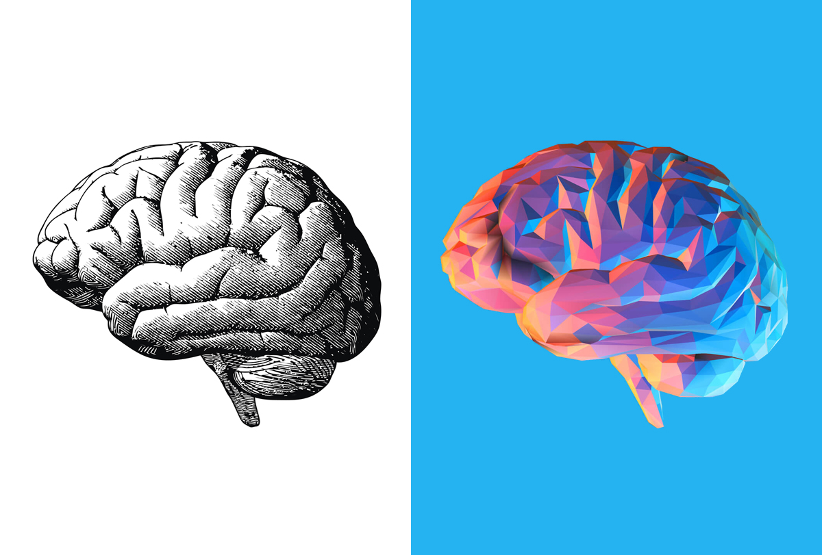 2 Positive Changes in Your Brain While Learning a Foreign Language