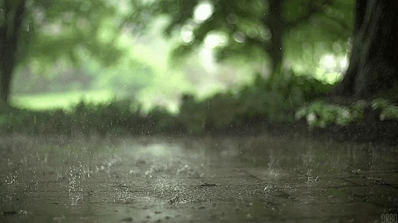 Yağmurlu Havalarda Taze Toprak Kokusu Nereden Geliyor?