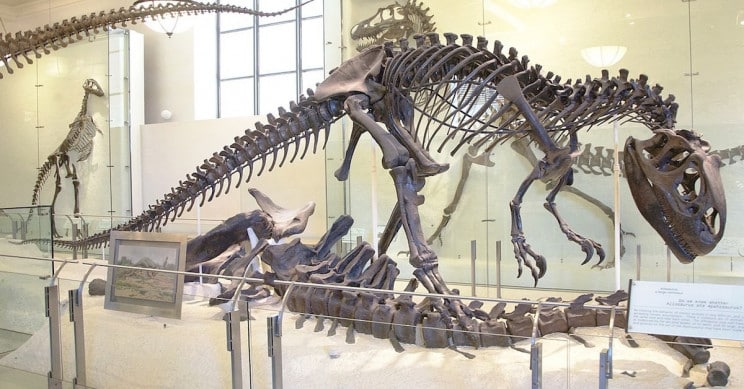 Kemik Savaşları: Marsh&Cope ve Dinozor Keşifleri