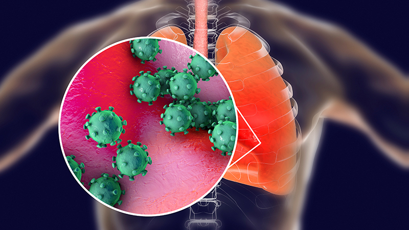 Kuluçka Döneminden İtibaren Koronavirüs Vücudumuzda Nasıl İlerliyor, Vücudu Nasıl Etkiliyor?