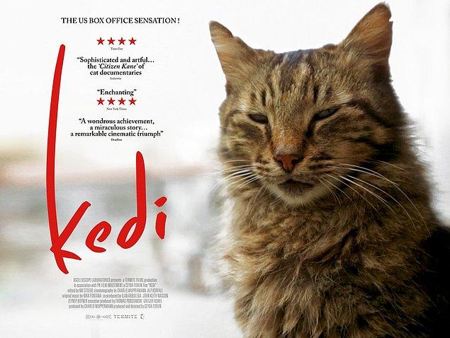 Time Dergisi Yılın En İyi Filmlerini Belirledi: Türkiye’den ‘Kedi’ İlk 5’te