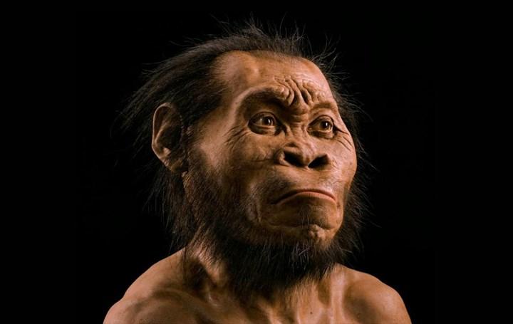 Yeni Bir İnsan Türü Bulundu: Homo Naledi