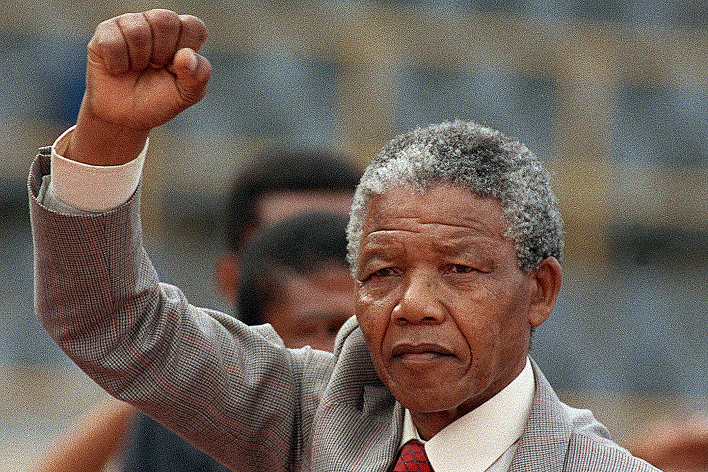 Nelson Mandela: The Life and Words of a Freedom Fighter