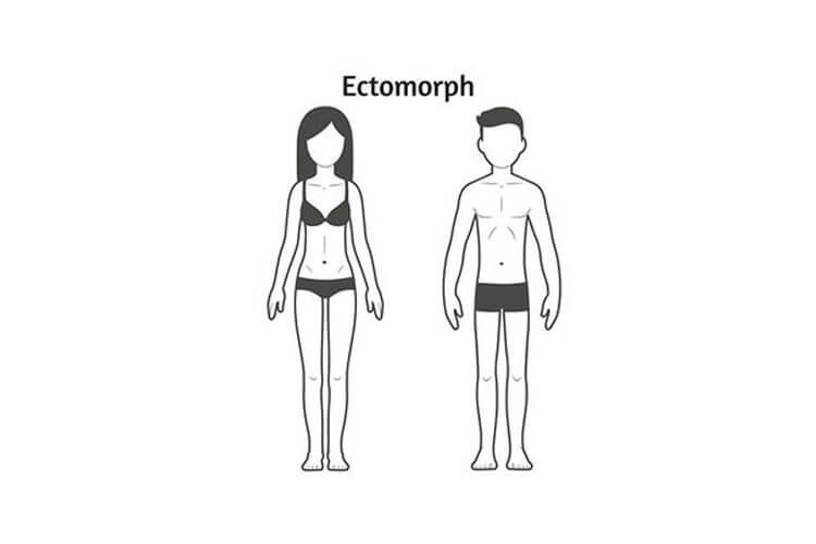 ectomorph body type