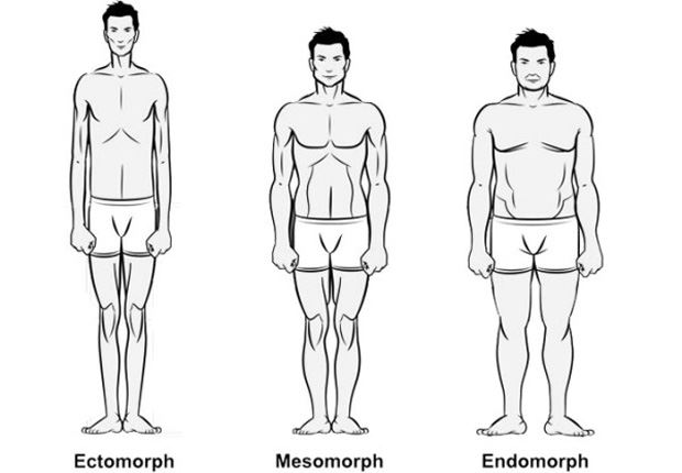 ektomorf vücut tipi