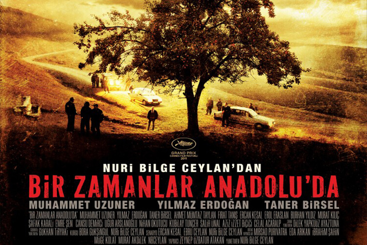 award winning turkish movies