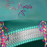 what is synthetic