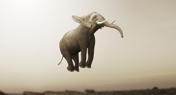 leaping elephant