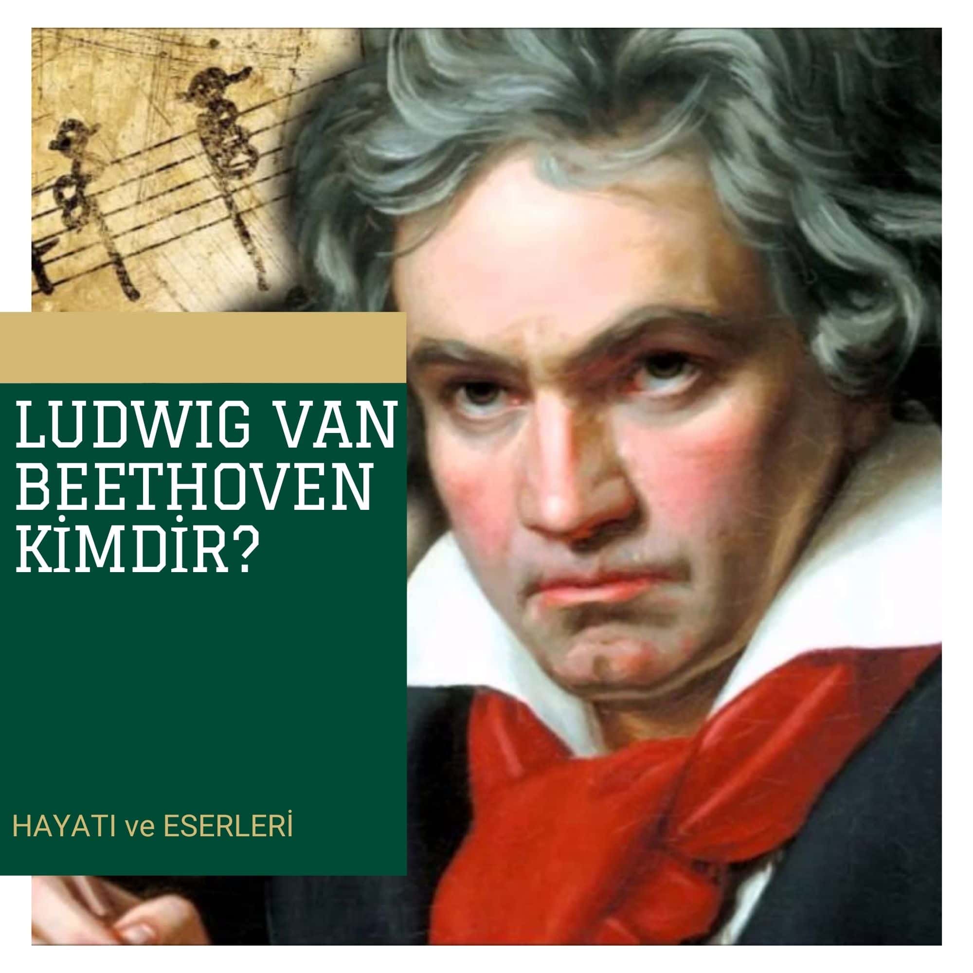 Who is Beethoven? Pill Information About Beethoven’s Life