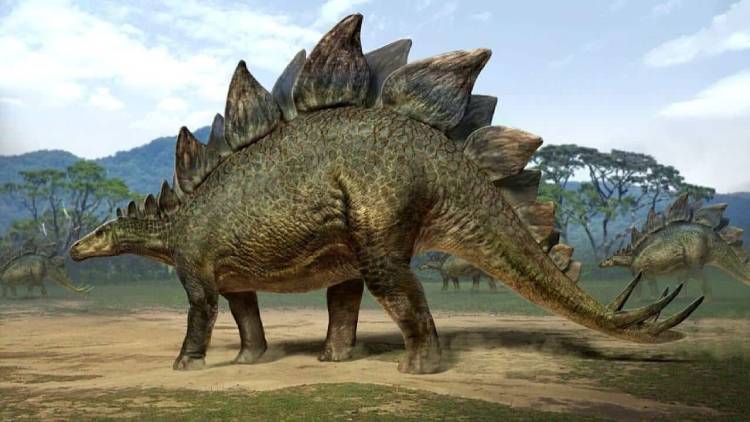 dinozor türleri Stegosaurus