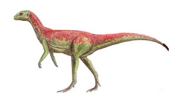 dinozor türleri Echinodon