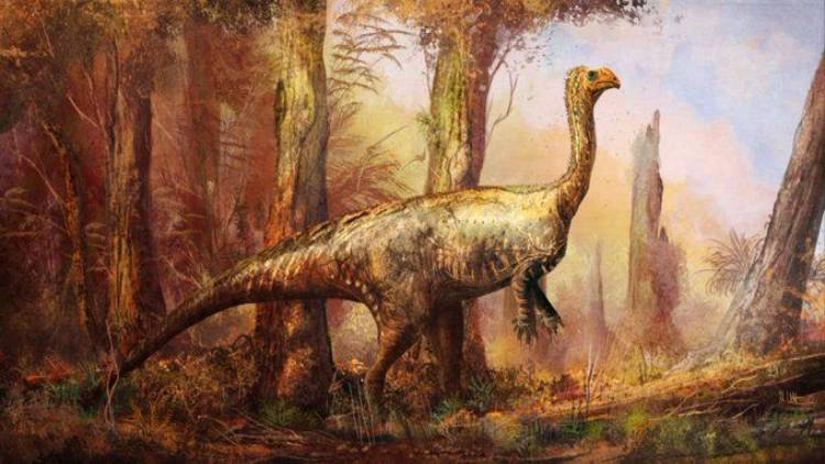 dinozor türleri Prosauropod