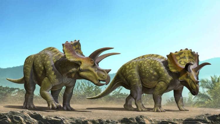 dinozor türleri Ceratopsian