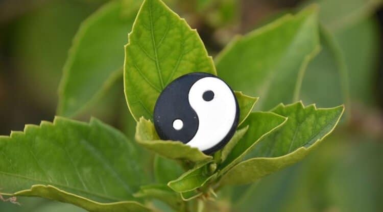 yin yang felsefesi