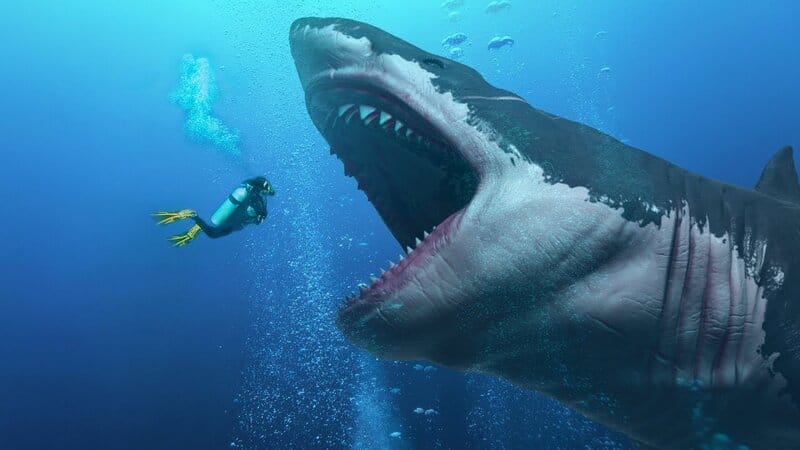 Megalodon: The Largest Shark to Have Ever Lived on Earth
