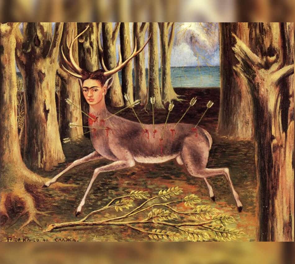 the wounded deer