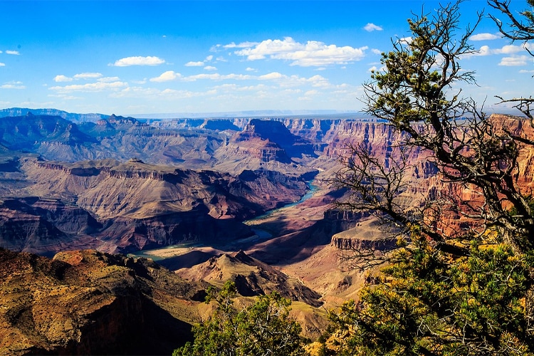 grand canyon world's tallest