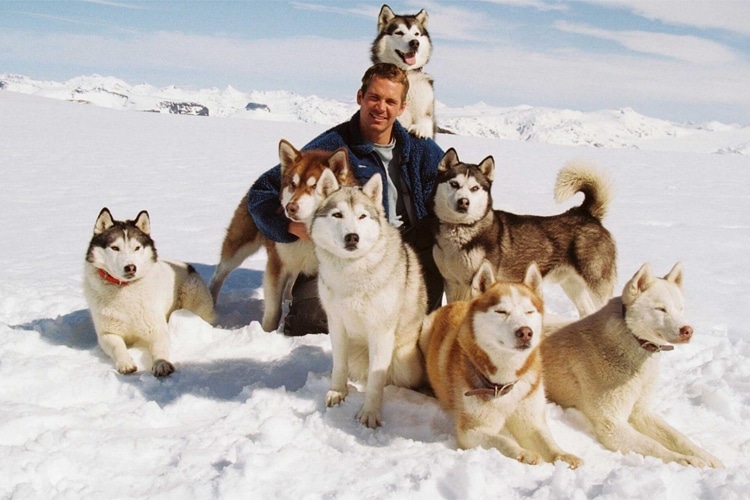 eight below paul walker