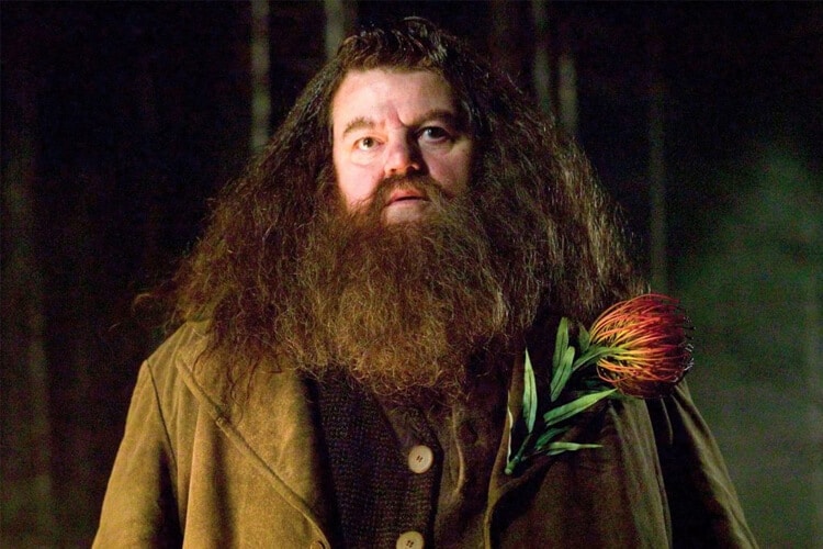 hagrid harry potter karakterleri