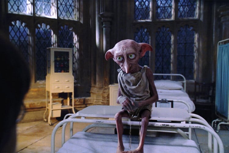 özgür ev cini dobby