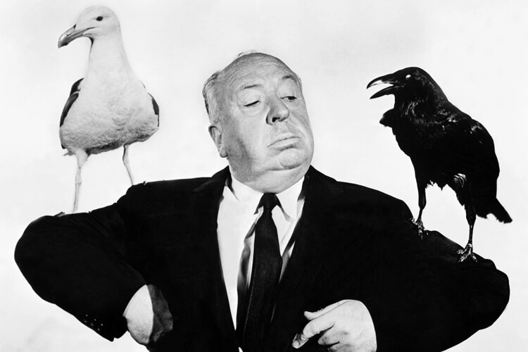 Alfred Hitchcock Films: 20 Great Films by Thriller Hitchcock