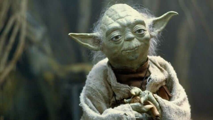 yoda