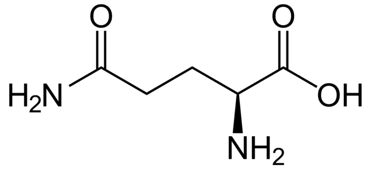 glutamin