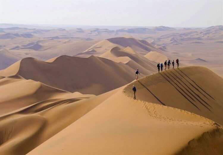 Desierto del Mar Muerto