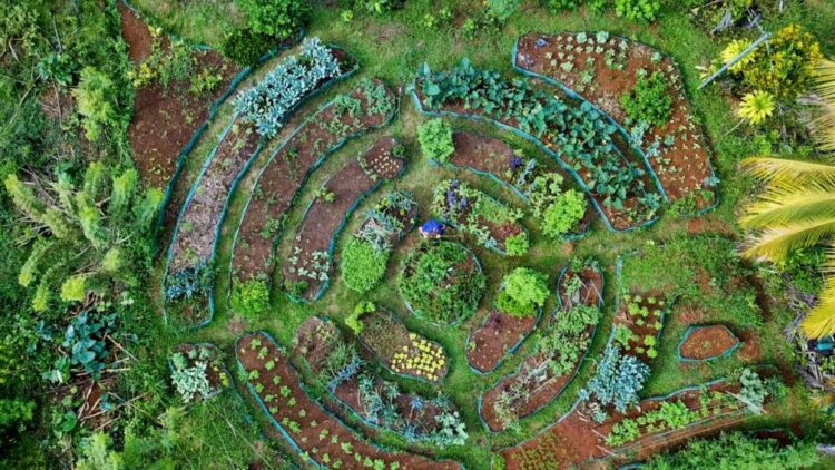 Benefits of Permaculture