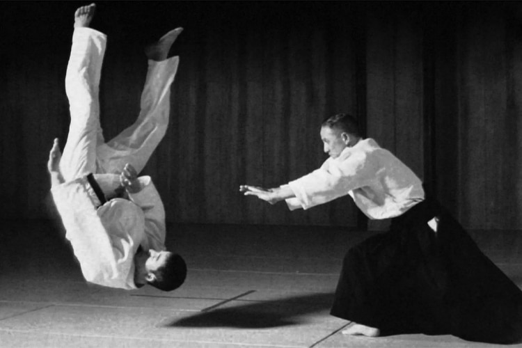 learn aikido
