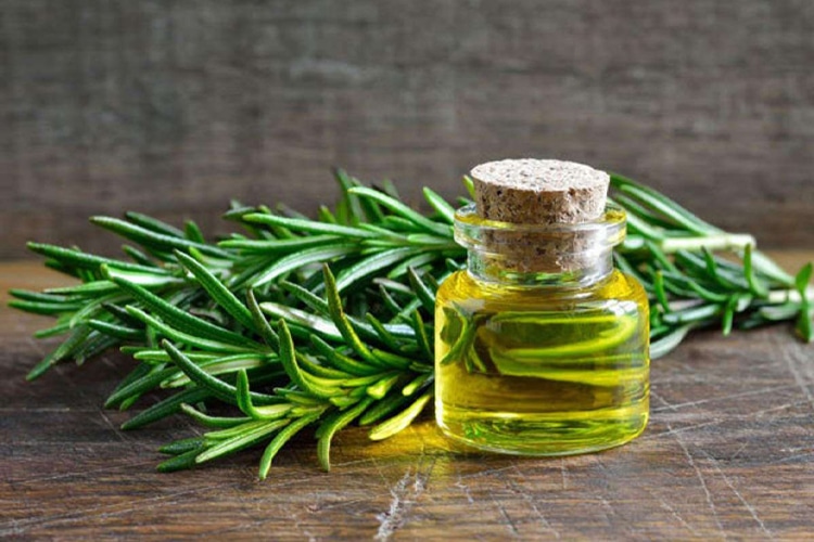 Rosemary oil