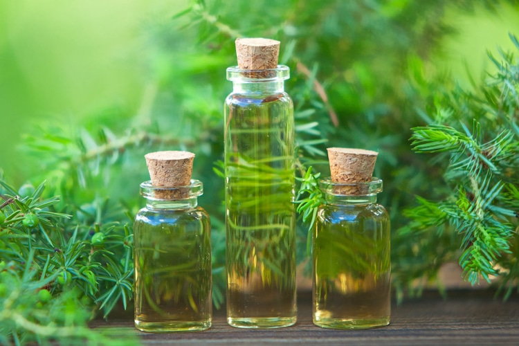 tea tree oil