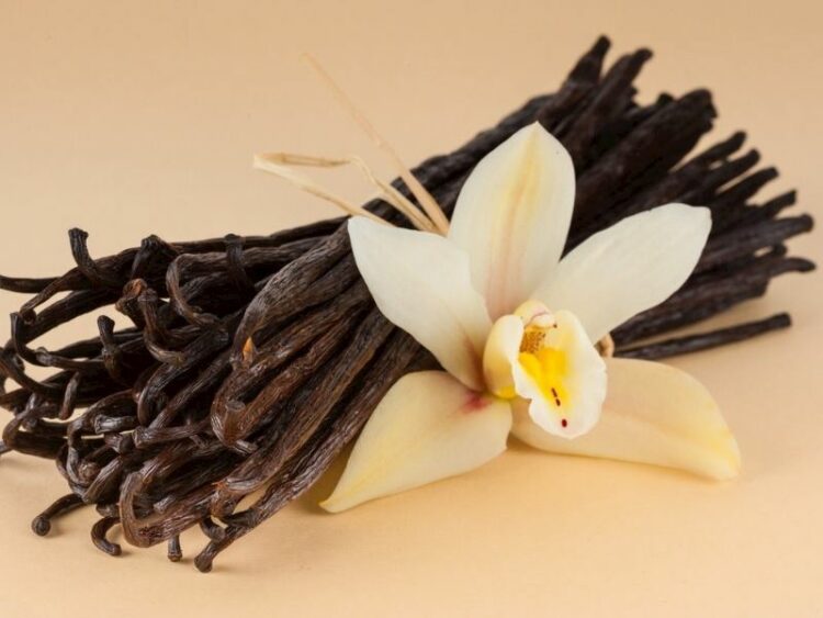 vanilla incense