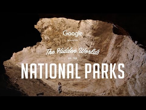 Google, Sanal Gerçeklik ile ABD’nin Ulusal Parklarına Yolculuğa Çıkarıyor