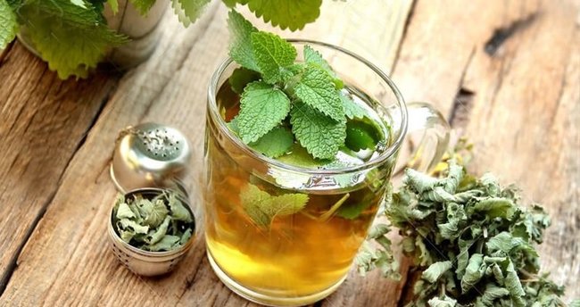 lemon balm tea