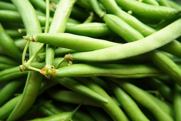 verduras de verano