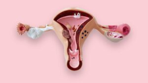 Menstrüasyon: Kadın Sağlığındaki Mucize!